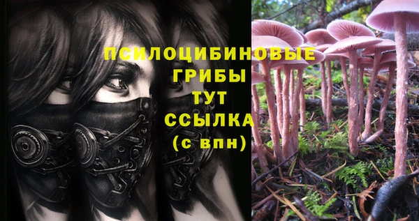 прущий лед Ладушкин