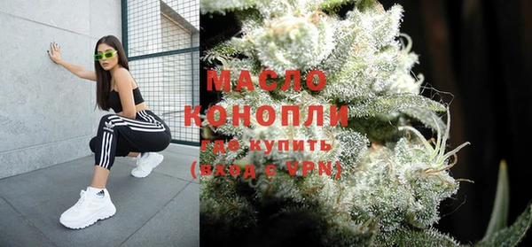 молекула духа Лабытнанги