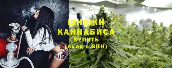 прущий лед Ладушкин