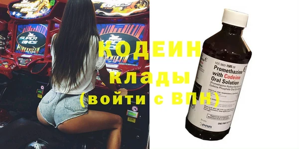 молекула духа Лабытнанги